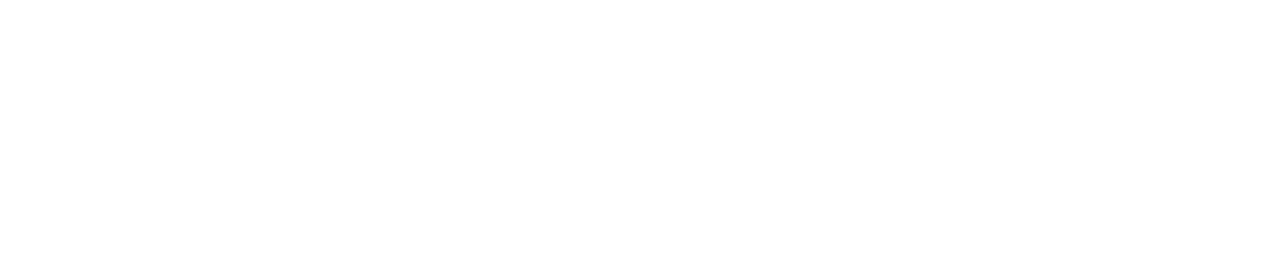 NetJets logo